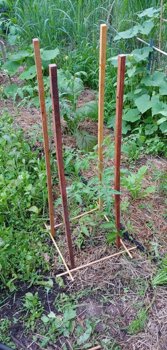 Hardwood Tomato Cage, Sturdy, Elegant, Easy Assembly & Storage